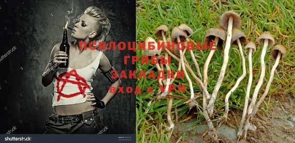 прущая мука Абдулино